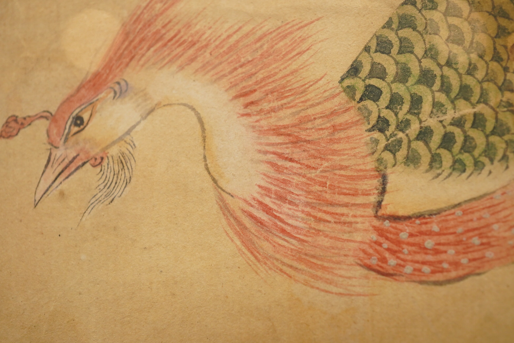 Chinese School , (18th/19th century), Phoenixes amid flowers, Ink and colour on paper; a pair